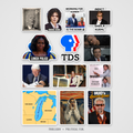 Troll Pack 3 sticker pack, thirteen matte political satire stickers