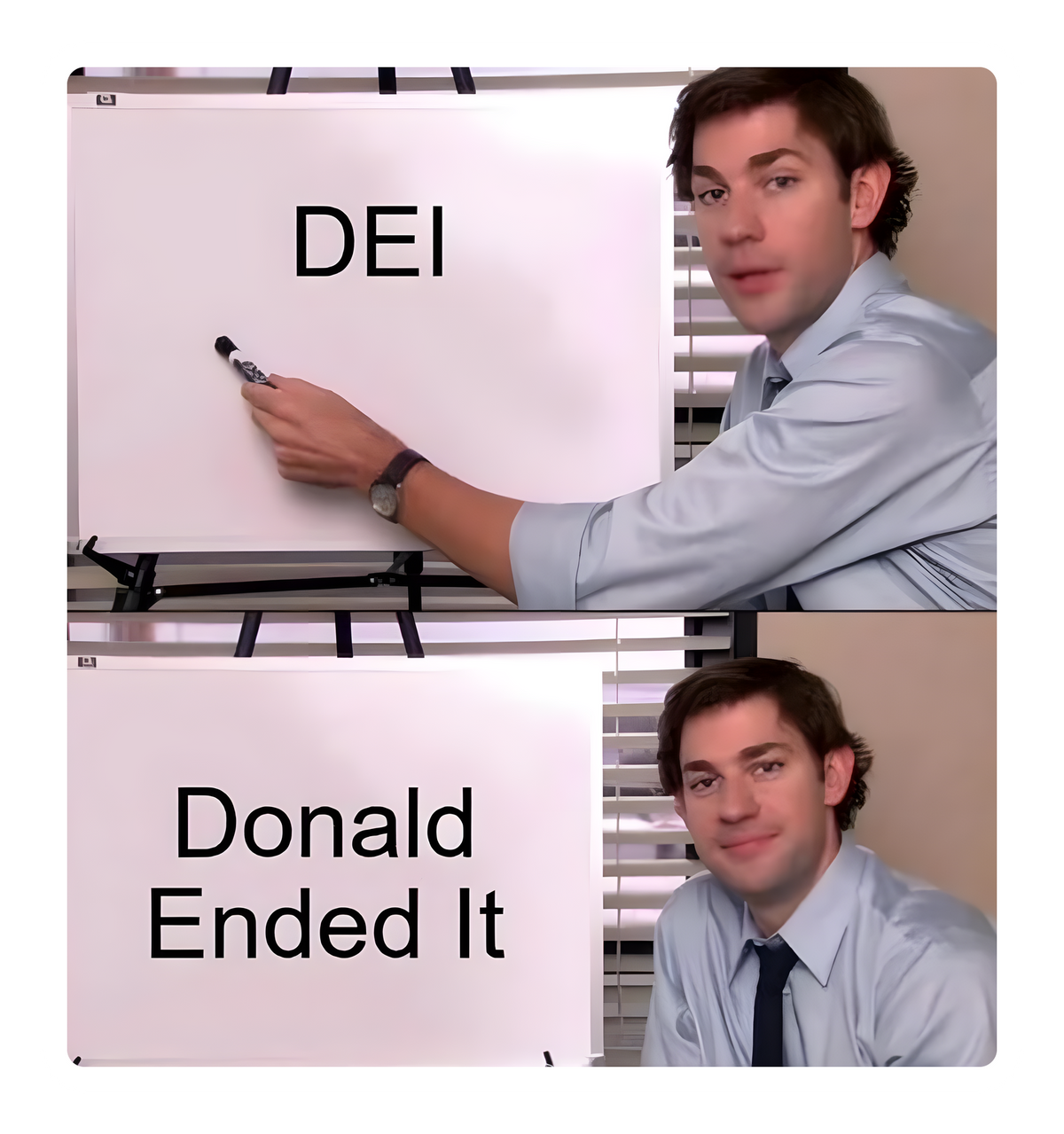 DEI: Donald Ended It sticker
